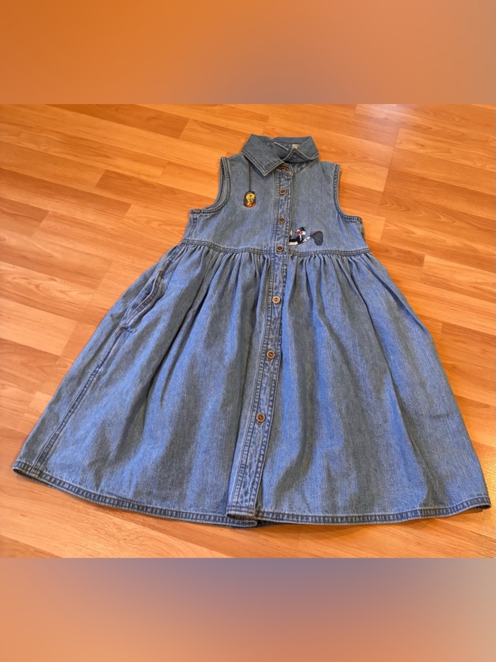 Warner Bros. Vintage Tweety Bird Sleeveless Denim Button-Front Dress in Blue